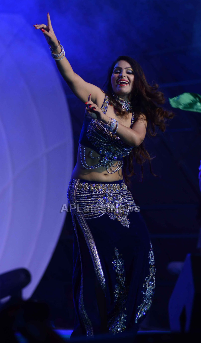 RDB - Live concert held at Baisakhi Celebrations 2013 - Picture 7