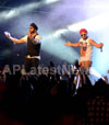 RDB - Live concert held at Baisakhi Celebrations 2013 - Picture 3