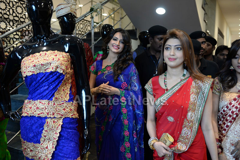 Kalamandir New Showroom launched at Rajahmundry and Kakinada - Picture 70