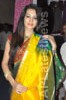 National silk and cotton expo Inaugurated by Actress Diksha panth - Picture 11