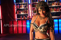 Poonam Pandeys New Year Treat for 1 Crore - Picture 5