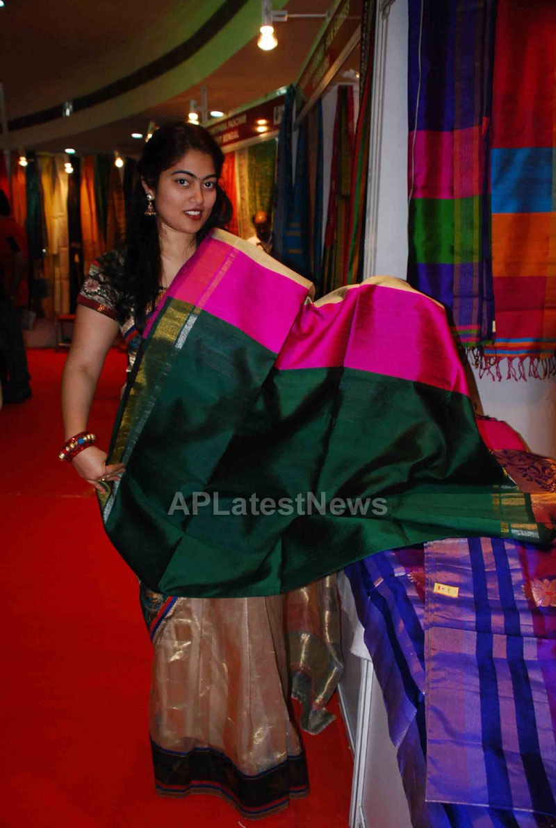 Silk Mark Expo Inaugurated by Vimala Narsimhan at Shilpakala Vedika, HYD - Picture 6