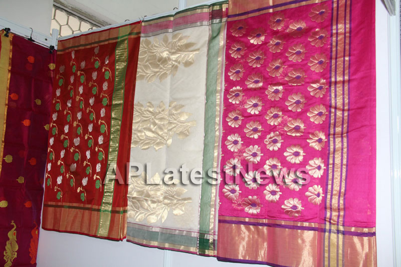 Styles N Weaves expo kicked off, Ameerpet, Hyderabad - Picture 34