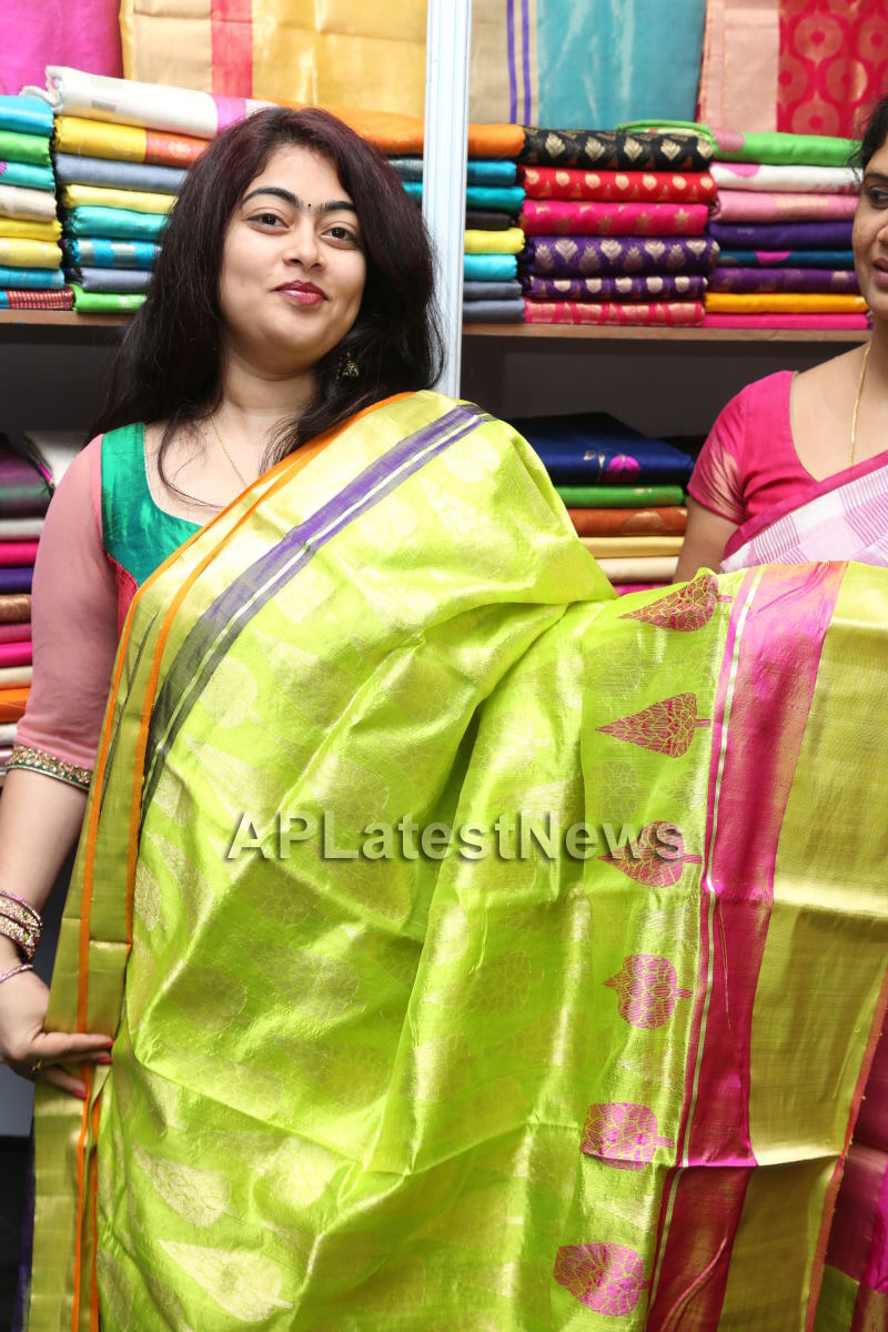 Styles N Weaves Expo - Inaugurated by Dr. Seetha and Shravani - Picture 5