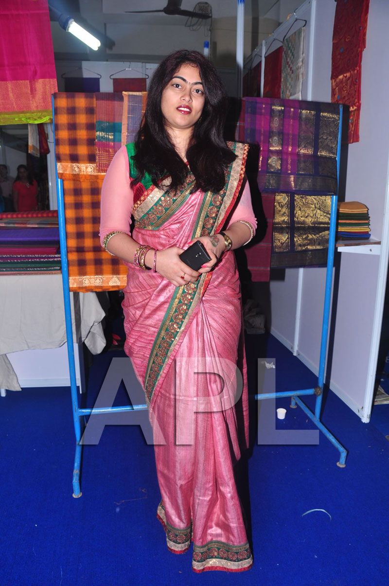 Styles N Weaves Expo - Inaugurated by Dr. Seetha and Shravani - Picture 11
