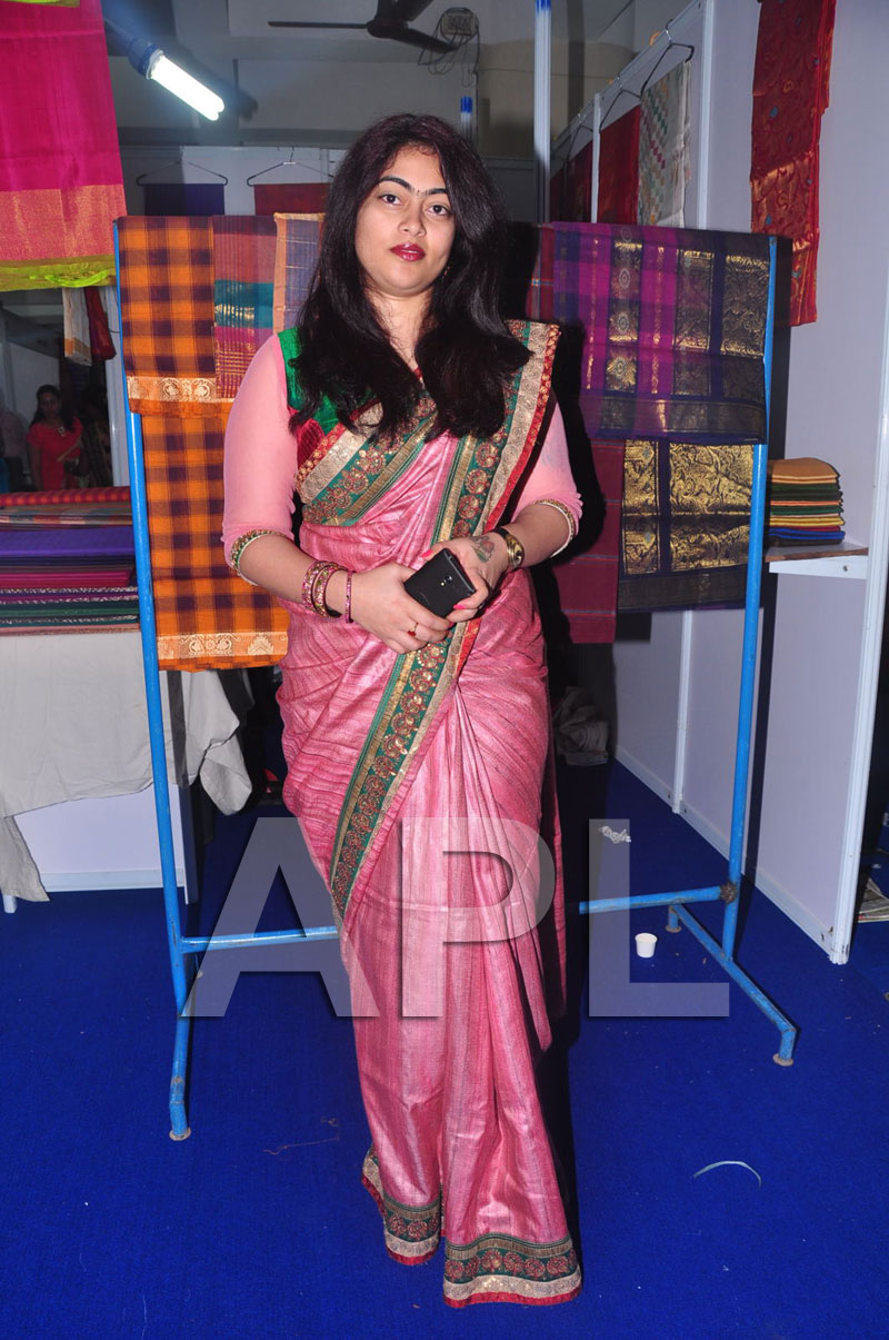 Styles N Weaves Expo - Inaugurated by Dr. Seetha and Shravani - Picture 12