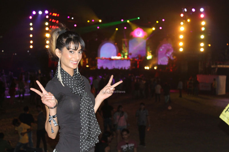 Yash, Talat, Candy, Aarti, Tina and Ali At Sunburn DJ Party - Picture 23
