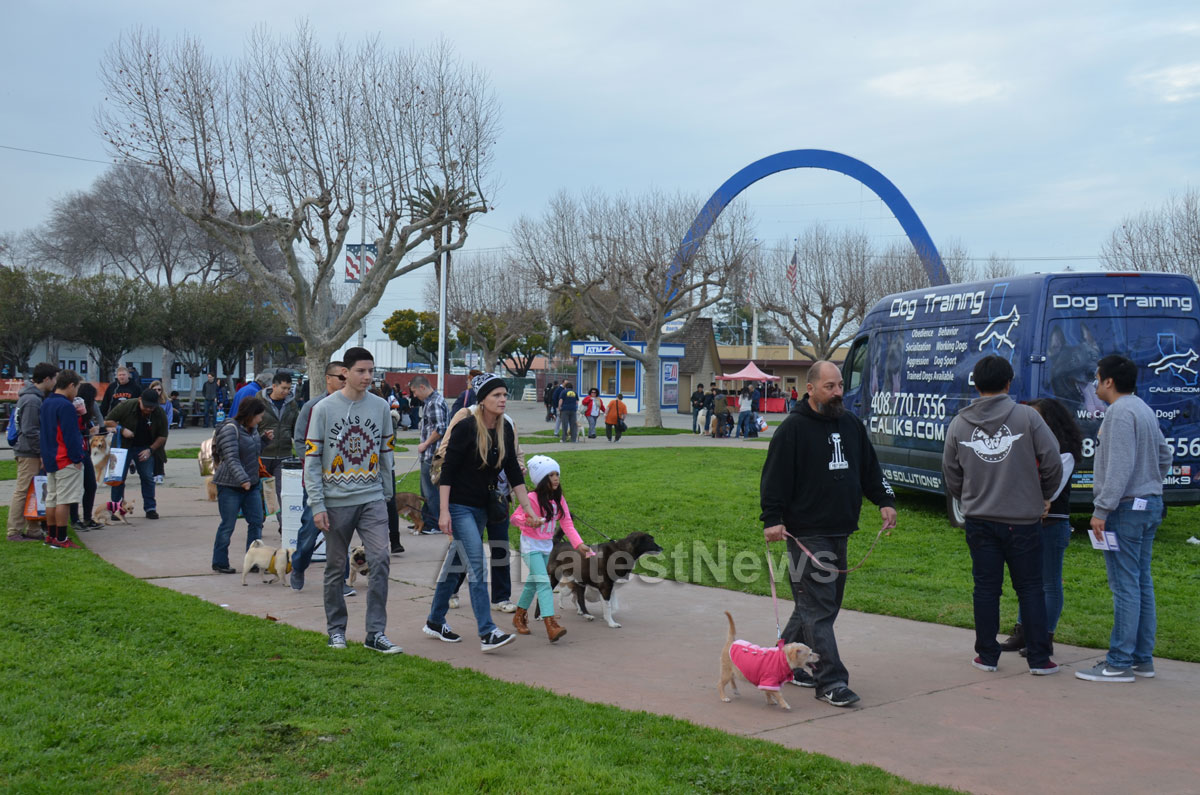 Annual Bay Area Pet Expo at Santa Clara County Fairgrounds, San Jose, CA, USA - Picture 5