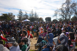 Annual India Republic Day Celebration and Festival, Fremont, CA, USA - Picture 9