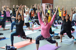 Celebration of 2nd International Day of Yoga, San Francisco, CA, USA - News