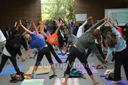 Celebration of 2nd International Day of Yoga, San Francisco, CA, USA - Picture 24