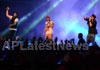 RDB - Live concert held at Baisakhi Celebrations 2013 - Picture 11