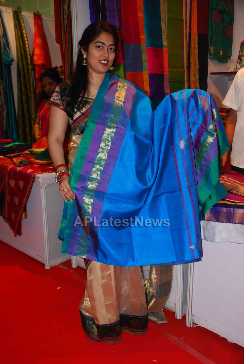 Silk Mark Expo Inaugurated by Vimala Narsimhan at Shilpakala Vedika, HYD - Picture 8
