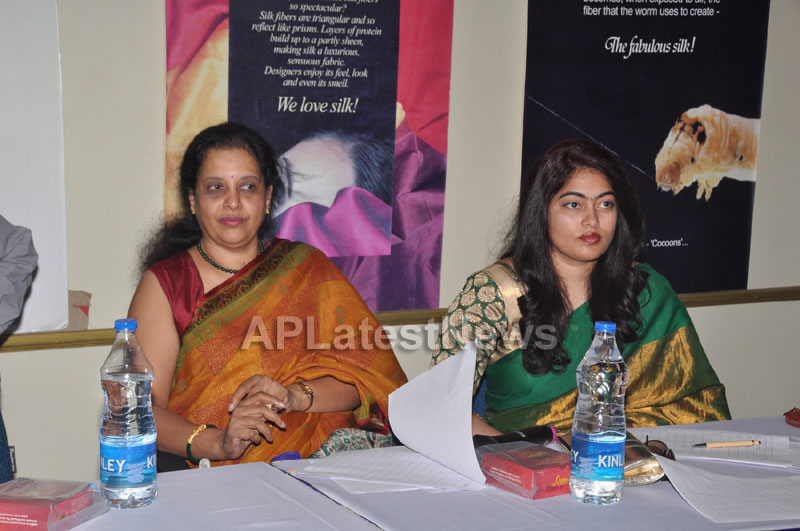 Srimathi Silk Mark, Hyderabad 2013 Auditions held - Picture 14