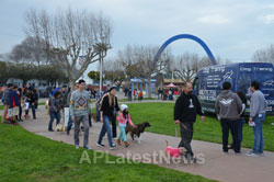 Annual Bay Area Pet Expo at Santa Clara County Fairgrounds, San Jose, CA, USA - Picture 4