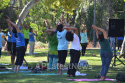 Sevathon by India Community Center, San Jose, CA, USA - Picture 8