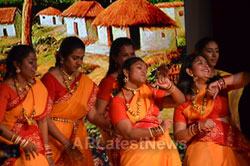 Telangana Cultural Festival(1st Anniversary celebrations) by TATA, Milpitas, CA, USA - Picture 11