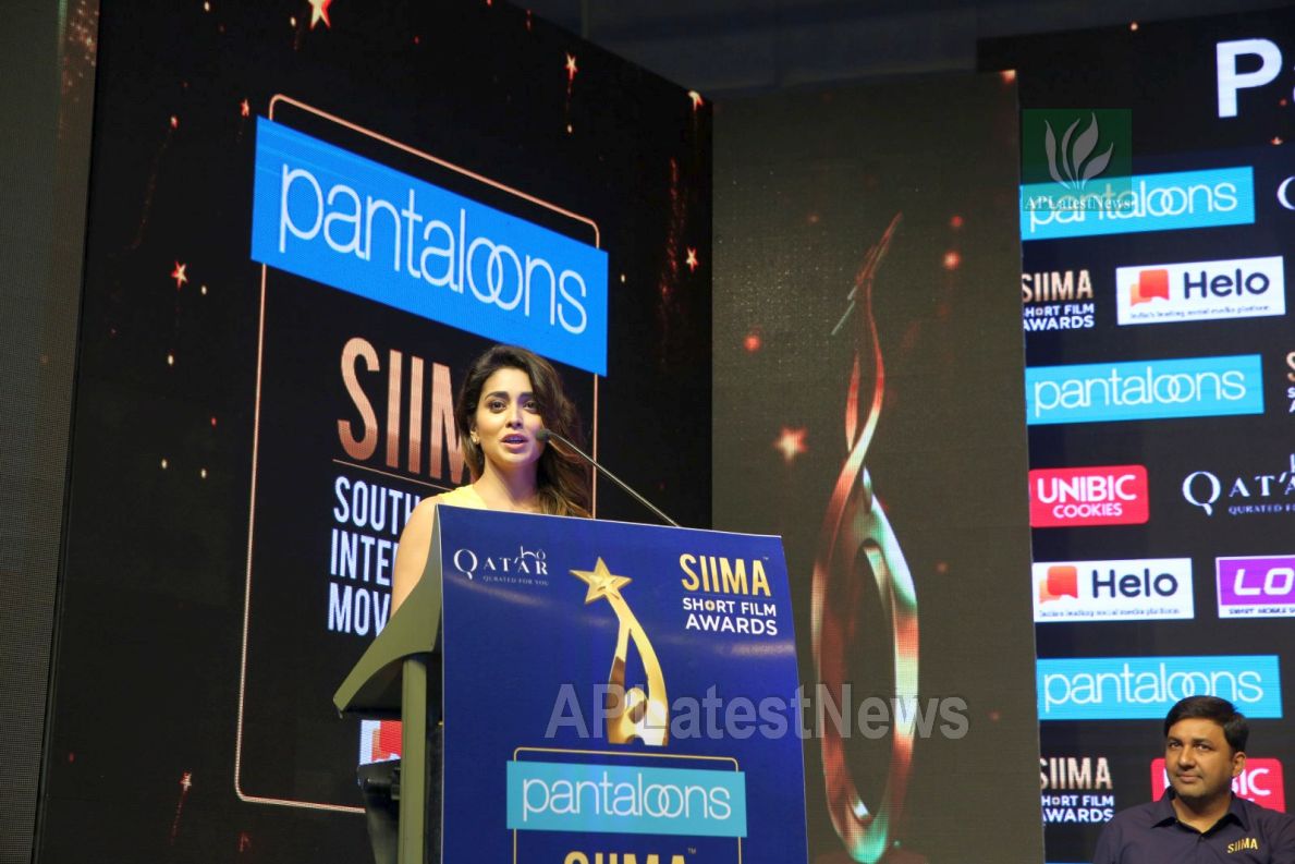 Film Celebrities at SIIMA 2019 Curtain Raiser, Hyderabad, TS, India - Picture 31